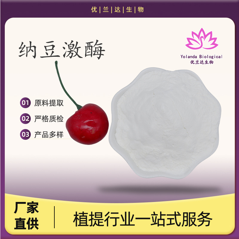 纳豆激酶500-50000Fu/g 纳豆提取物 纳豆粉 多规格 厂家直供 现货