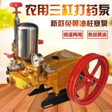 �����������r�����S�͸߉���ș�C���^���F����ș���^������������