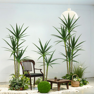 ���W�L�������˽�������ؾGֲ�͏d�b�ֲ�������҃��쾰�[��