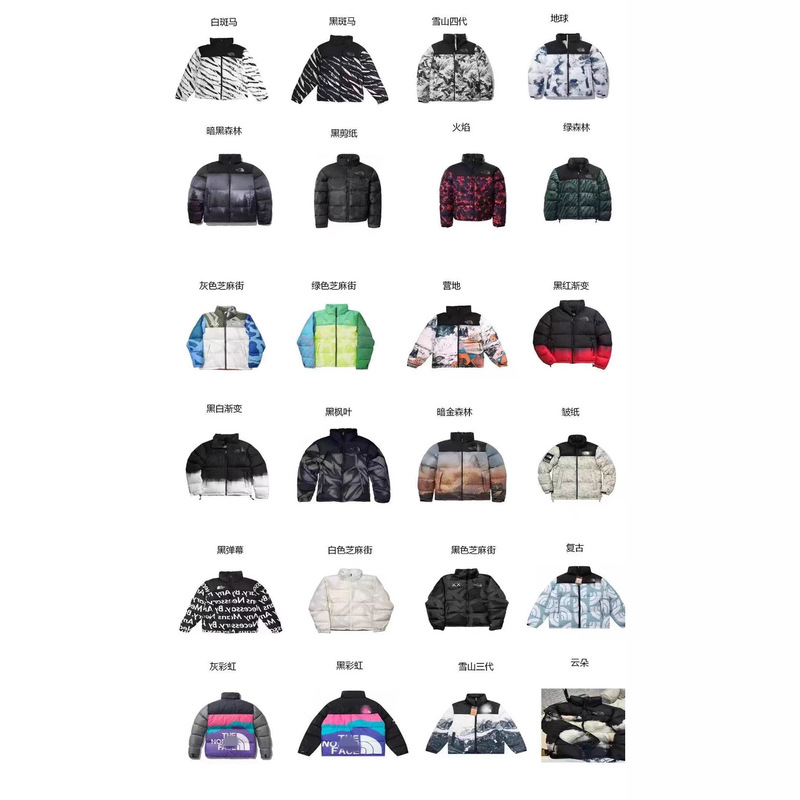 Winter North Face Embroidered Cotton-padded Coat Multicolor New Style Vertical Collar Fashion Trend All-match Casual Thickened Warm Loose Jacket