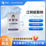 现货批发 江铜工业级硫酸铜 水产养殖 农业杀菌 电镀化工