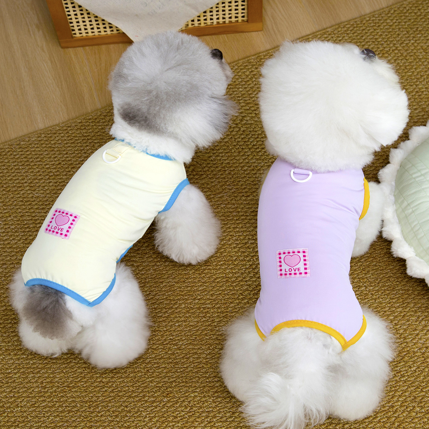 Ropa para mascotas, gatos y perros, primavera y verano, conjunto sin mangas fino para Bichón Frisé o Teddy, traje de verano transpirable y fresco para mascotas de cuatro patas._voghion.com