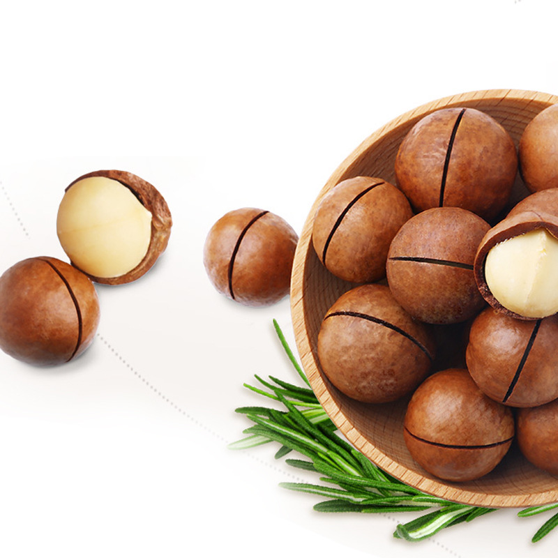 Macadamia Nuts【Shipped】Creamy Flavor Nuts 250g Large Nuts Snack New Year Specialty Macadamia Nuts