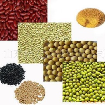 С�� ʮ����  ����1����һ�� ����ר����������������������