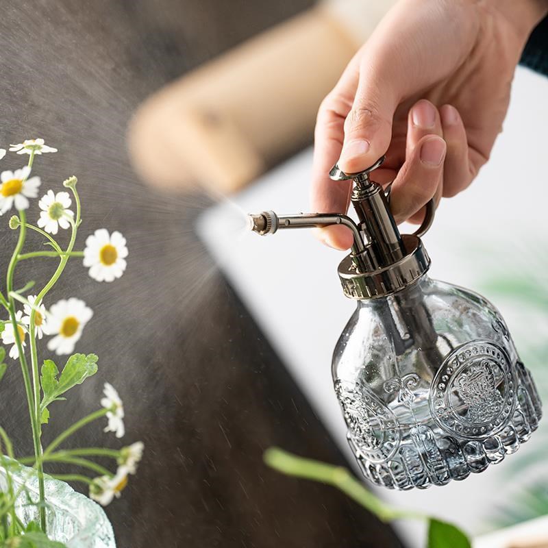 小喷壶 玻璃洒水壶 彩色 浇花壶 南瓜透明花洒小型喷壶浇水壶