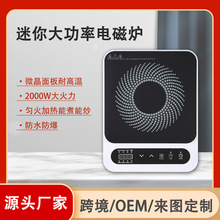 ����CE/GS�J�C�羳���Q�W�޵�220V�|��2000�߆��^늴Št