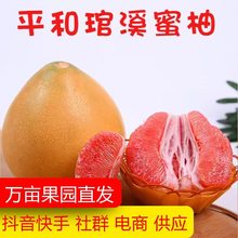 红肉蜜柚电商龙头 红柚三红官溪琯溪红心柚 礼盒中秋柚子