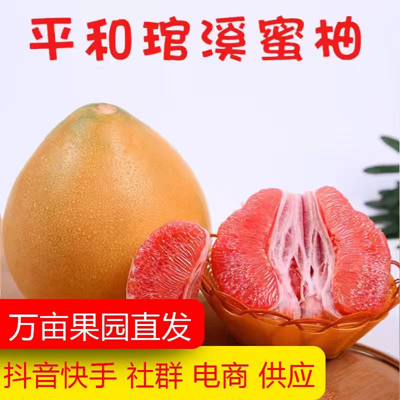 红肉蜜柚电商龙头 红柚三红官溪琯溪红心柚 礼盒中秋柚子