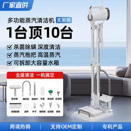 厂家多功能杀菌除螨高温蒸汽清洁机支架版 电动蒸汽拖把Steam mop