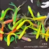 (Butterfly wings) Candy zebra (random variety-luxury mixed)