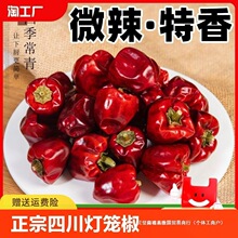 ���\��������500g�Ĵ���������΢���������üt�A���\��؛���l