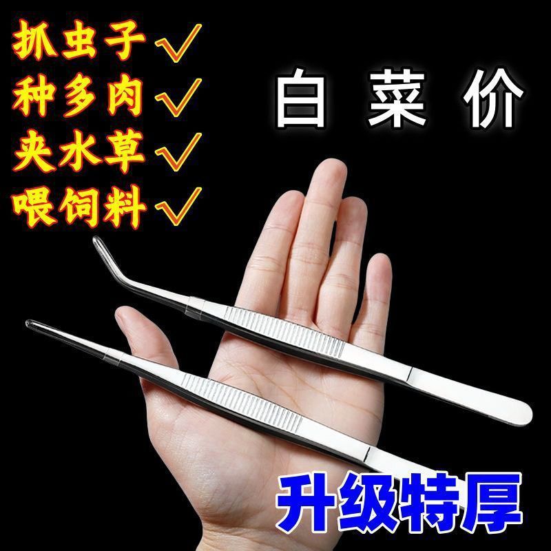 镊子不锈钢种多肉夹水草加厚圆直头加长镊子捉虫蝎子动物喂食弯头