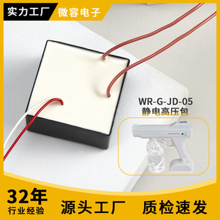 DC12V electrostatic generator module super strong high voltage arc pulse High Voltage package handheld sprayer negative ion