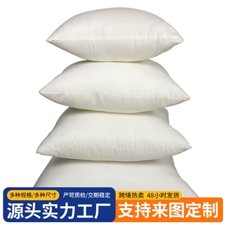 亚马逊磨毛布三维PP棉抱枕芯45*45沙发床头抱枕芯ins风座椅靠垫芯