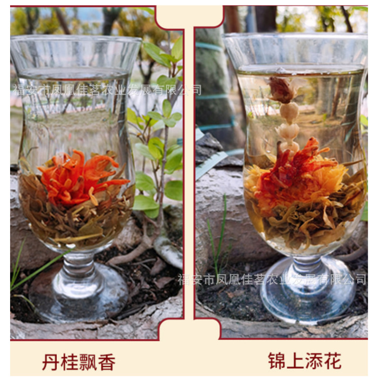 绿植花卉盆栽植物多肉详情页-7.png