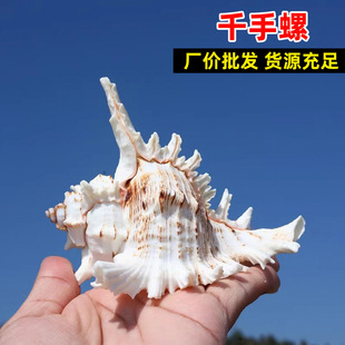 õ��ǧ������Ȼ�����bҾӔ[��ˮ���~���b�ǧ�֘˱������l