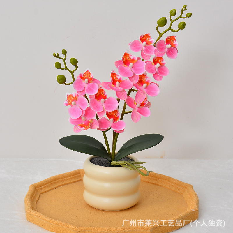Tire tub-peach pink