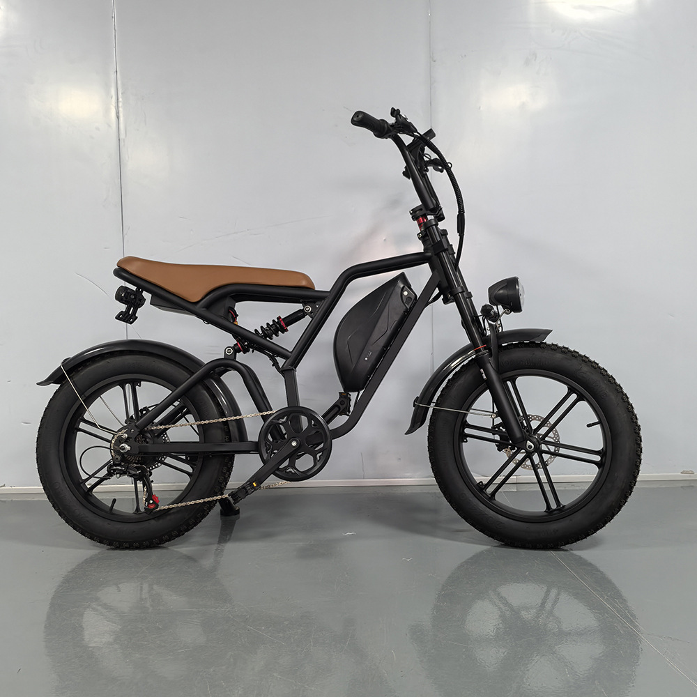 20-inch Fat Tire Off-Road Snow Beach Integrated Wheel Electric Bicycle