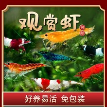 �ښ��r�r���^�p�r�絭ˮ�Bֳ��ͳ����r���w����ѻ��r�O��ˮ���r