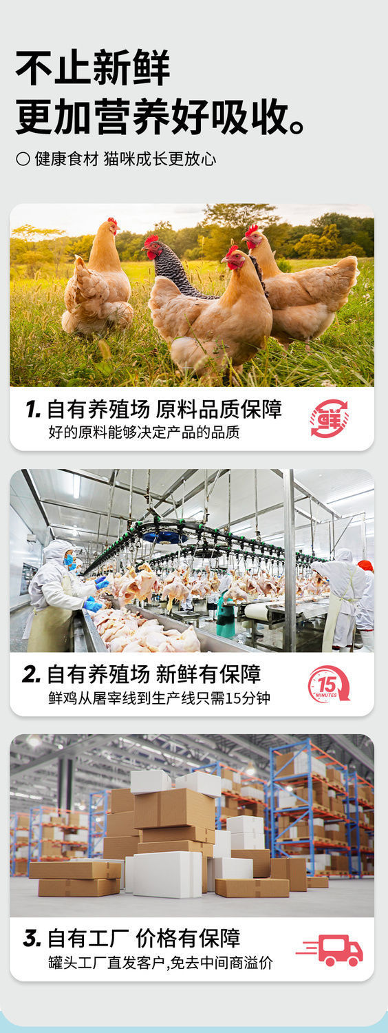 69d389e3-1a7e-4c35-a4f2-c7b38b595001.jpe