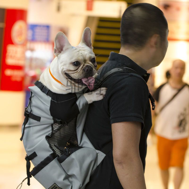 a慢大号宠物背包大狗外出包透气露头包大型犬法斗柯基柴犬携带包