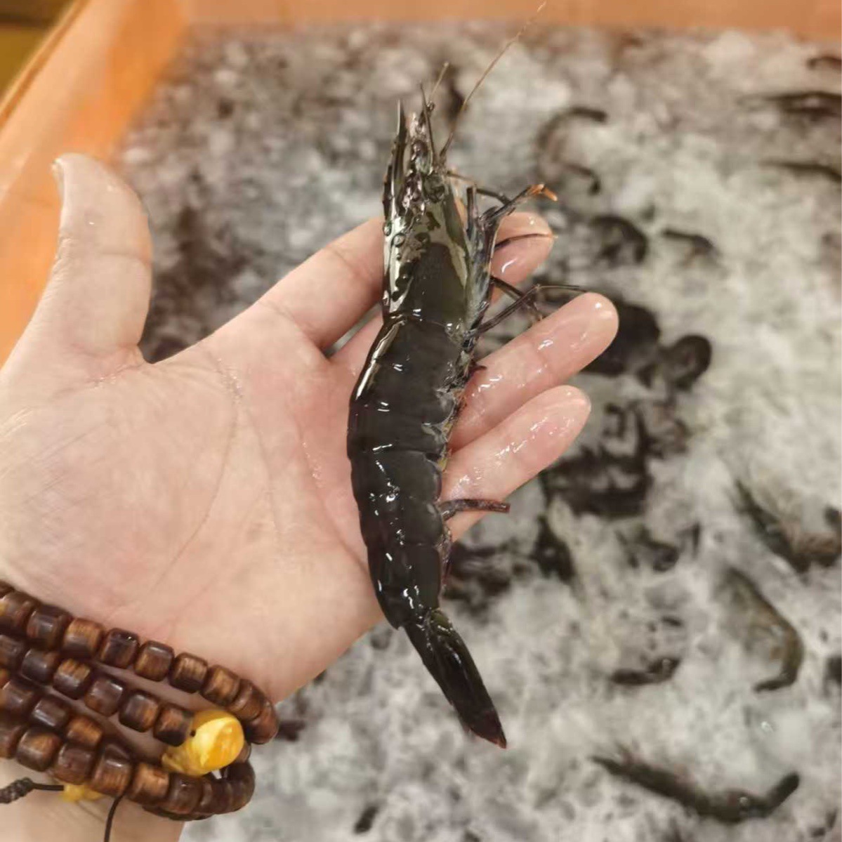 黑虎虾活冻黑虎虾东山岛源头九节虾黑节虾 草虾大虾特大虾金刚虾