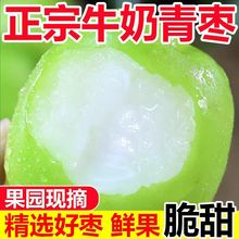 �Fժ�F�l���ڸ���ţ�̴������F���ۗ�����Ƥ�����r��������һ����