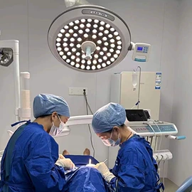 医疗灯具;消毒机;个人护理电器