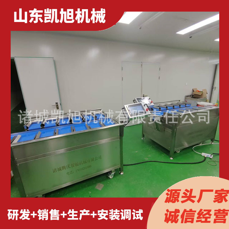 E-Commerce Durian Meat Packaging Quantitative Scale Fruit Community Group Purchase Bag Packaging Belt Scale Target Weight Combination Scale