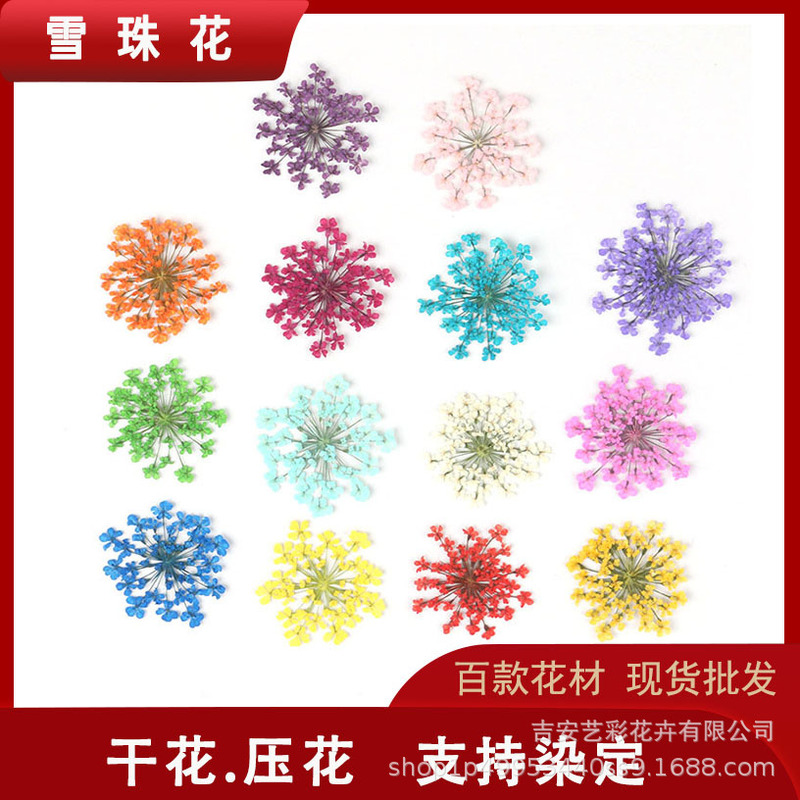 Customized Snowdrop Flower Natural Dried Flower Embossed Glue Phone Case Nail Art Dried Flower Photo Face Decoration Bracelet DIY