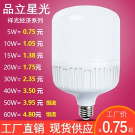 LED球泡灯;其他LED光源;灯头、灯座