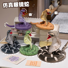 �������R�߹��и�����˿�ͨ����ë�q�����Ф������ż�Y��羳��