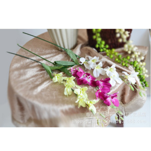 ��֦��ɫС���m ���滨�Ҿ��b�֦ �ٻ����� �b�c��ˇ ���l