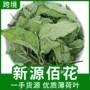 太和安徽食用泡茶薄荷叶