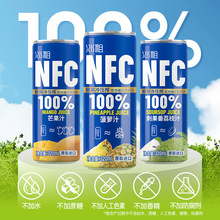 越南进口九日冰祖NFC果汁鲜果冷榨非还原菠萝汁芒果荔枝果汁饮料