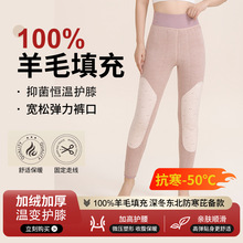 女士羊毛加厚保暖裤石墨烯护膝抗菌防寒秋冬季打底裤高腰加绒棉裤