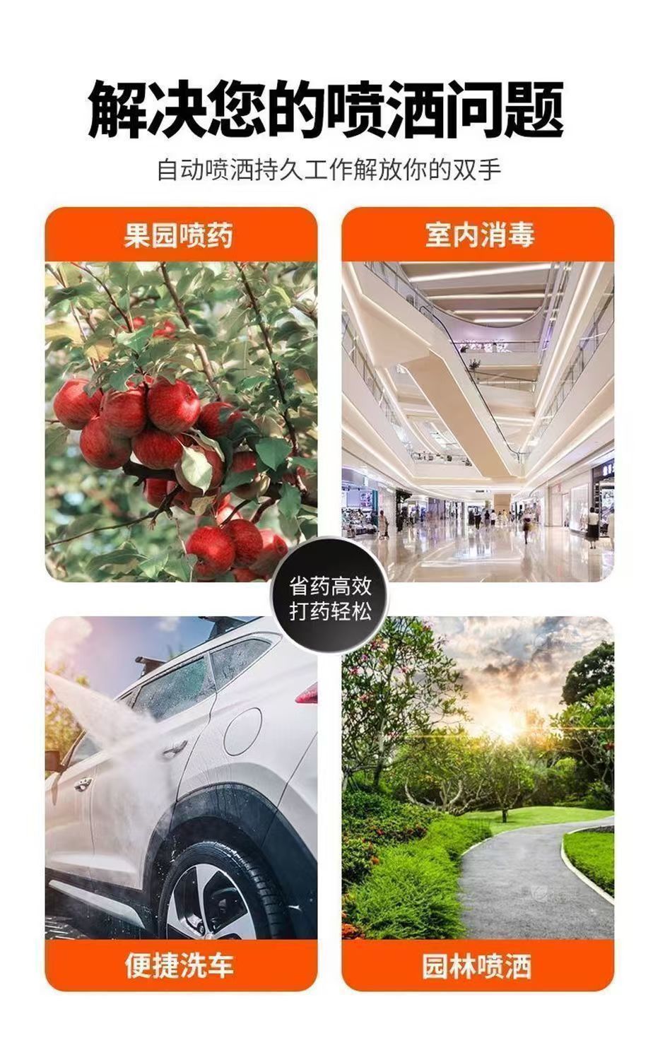 503c6485-a005-40a8-844f-1465d4aab3f4.jpe