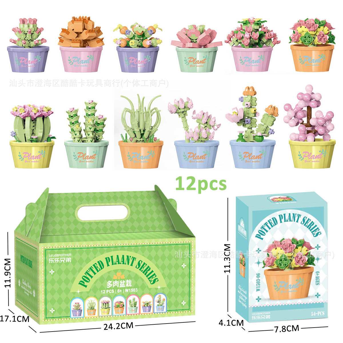 Ensemble complet de plantes succulentes en pot [12 boîtes, avec boîte de présentation] W1503
