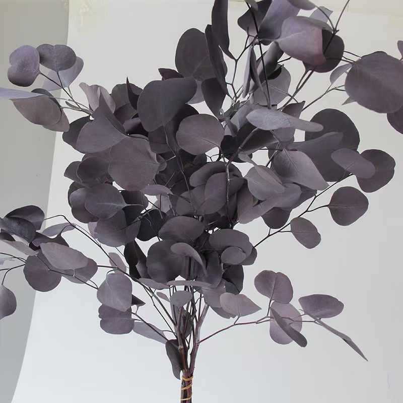 보라색 (100g/손)