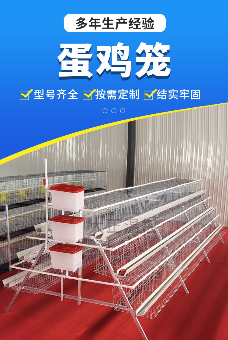 蛋鸡笼水印_01.jpg