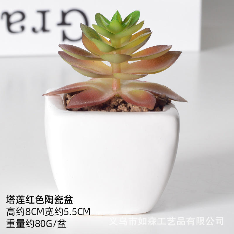 Simulación de cerámica bonsai de carne doméstica decoración de escritorio de oficina plantación verde maceta props de disparo maceta combinada artificial image 32
