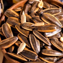 ؛؛콹Ƕζԭζɢb؛ʳȺľ