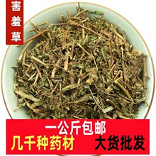 �t���o���߲ݸ�؛���߲ݸ��в�ș���߲� ���߲�1000����ș��