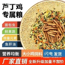 �J���u��ϼZʳ���r�a����С�R�u�_�ڼZ������������ʳ����]