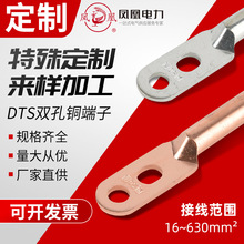 定制DT10-630系列接线端子铜鼻子大小孔双孔折弯酸洗镀锡