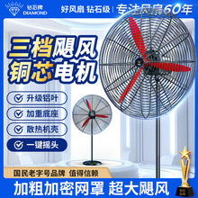 �ʯ�ƹ��I��L�ȴ��ʏ�������ȩ��������ȱڒ�ʽ�u�^ţ����