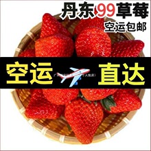 1769视频在线