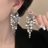 Shiny earrings, style