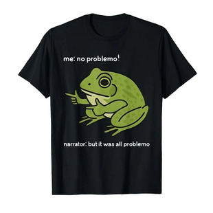 ���羳�W�a��Me No Problemo Narrator But It was All Problemo