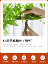 �ٻ����[�O�͏d�p��������ϻ�ˇ������ؔ[��������Gֲ